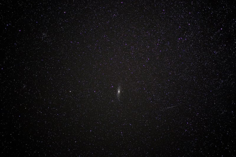 Star Cluster Surveys